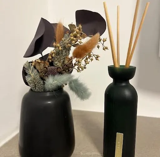 Moderne Am Rhein Koblenz (Rhineland-Palatinate)